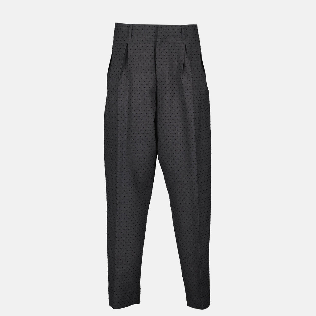 Pleated Pants